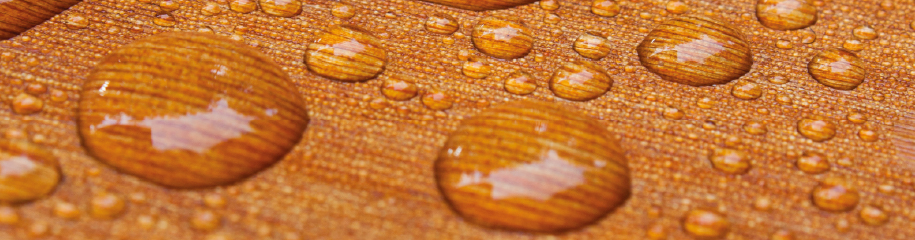 Herfst en helder verf van goede huizen Horseman care hout