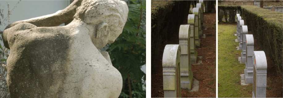 Herfst en helder verf van goede huizen Horseman care mineraal