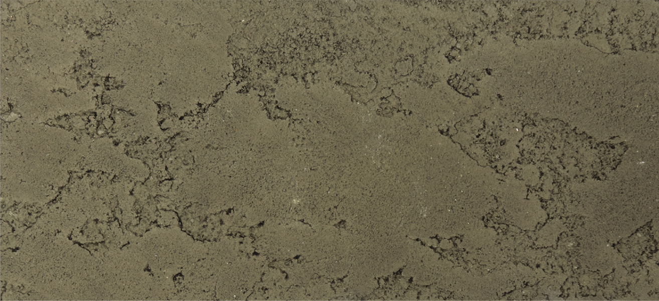 Fossil Mono: 111 Celadon 5% Accent: 115 Basalt