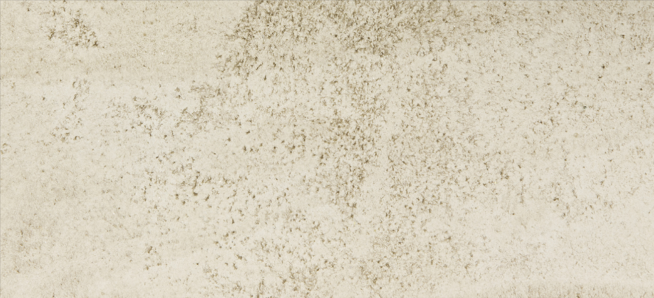 Fossil Mono: 101 Ivory 2,5% Accent: 115 Basalt | 102 Palmira | 229 Sienna